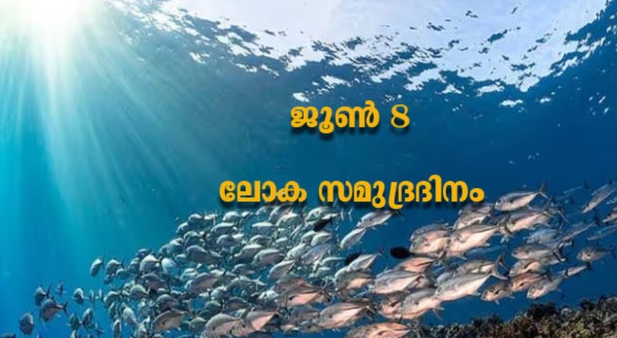 ഇന്ന് ജൂൺ 8 ലോക സമുദ്ര ദിനം