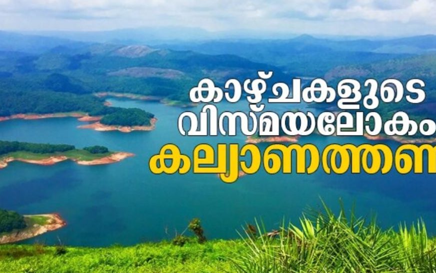 ഇടുക്കിയിലെ കല്യാണത്തണ്ട്; കാഴ്ചകളുടെ വിസ്മയലോകം