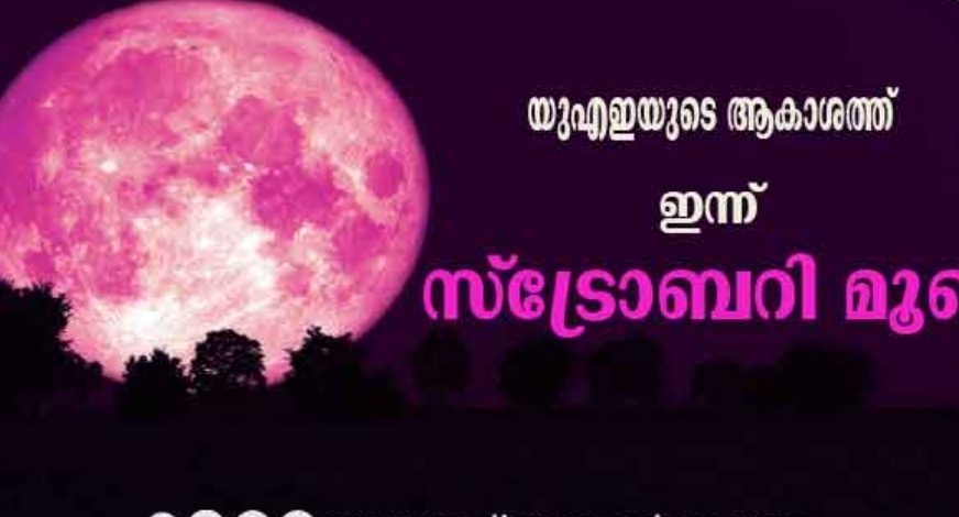 യുഎഇയുടെ ആകാശത്ത് ഇന്ന് സ്ട്രോബറി മൂൺ ദൃശ്യമാകും; കാണാൻ സാധിക്കുന്നത് ഈ സമയത്താണ്