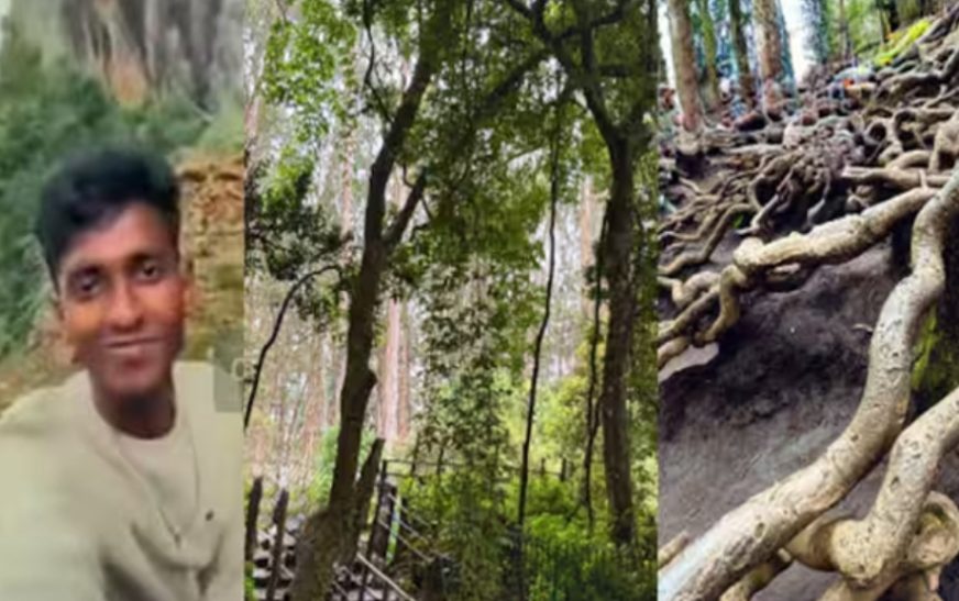ഗുണ കേവിൽ നിന്ന് റീൽസ് ചിത്രീകരണം; യുവാവിന് പിഴ ചുമത്തി വനം വകുപ്പ്