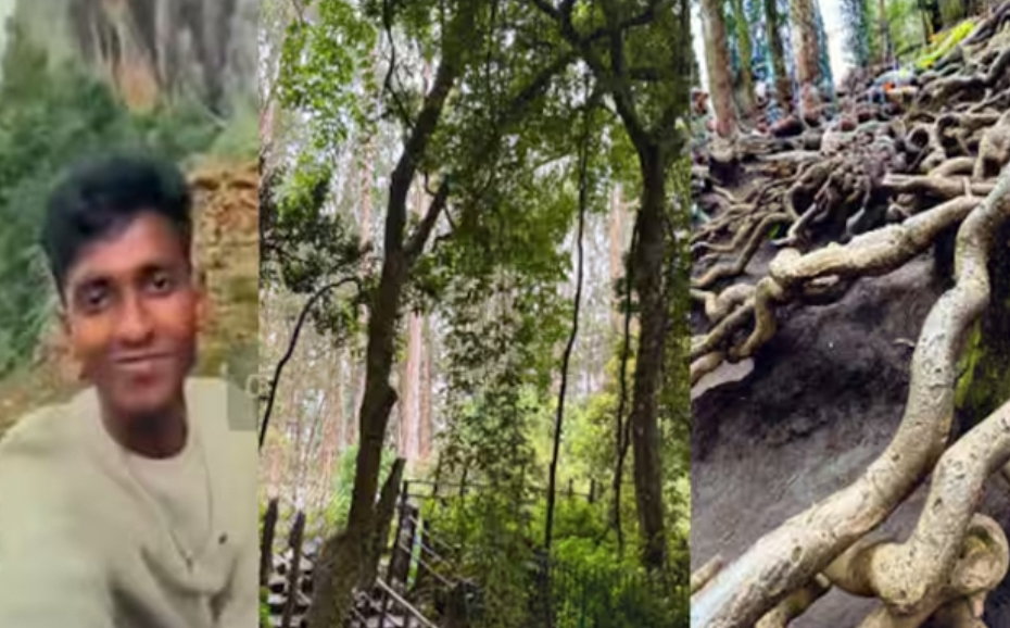 ഗുണ കേവിൽ നിന്ന് റീൽസ് ചിത്രീകരണം; യുവാവിന് പിഴ ചുമത്തി വനം വകുപ്പ്