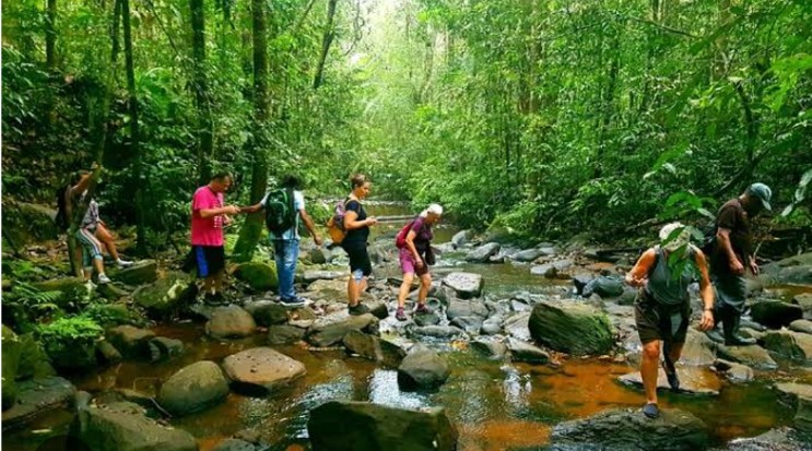 കാടറിയാന്‍ യാത്രകള്‍ ഒരുക്കി കൊല്ലം ബജറ്റ് ടൂറിസം സെല്‍