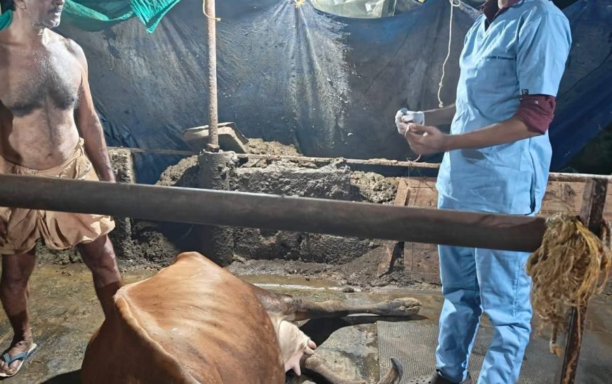 വാതില്‍പ്പടിയില്‍ സേവനം  ഒമ്പത് വര്‍ഷത്തിനിടെ പത്തനംതിട്ടയിൽ 3.50 കോടി രൂപയുടെ സഹായവുമായി മൃഗസംരക്ഷണ വകുപ്പ്