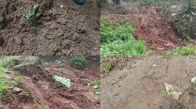 ജനവാസ മേഖലയിൽ കടുവയിറങ്ങിയതായി സംശയം