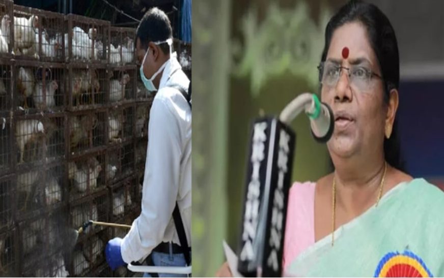 ആലപ്പുഴ, കോട്ടയം ജില്ലകളില്‍ പക്ഷിപ്പനി പടരുന്നു