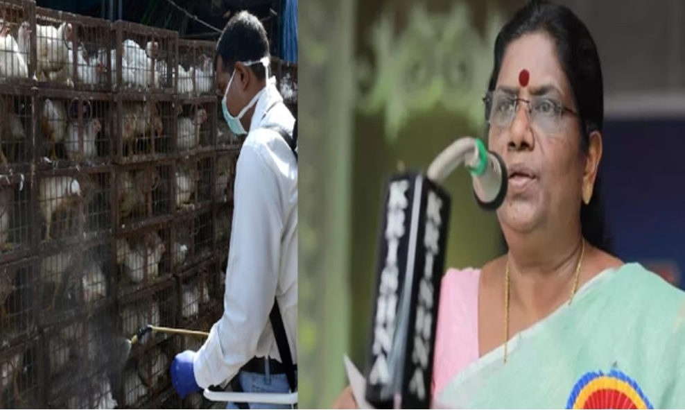 ആലപ്പുഴ, കോട്ടയം ജില്ലകളില്‍ പക്ഷിപ്പനി പടരുന്നു