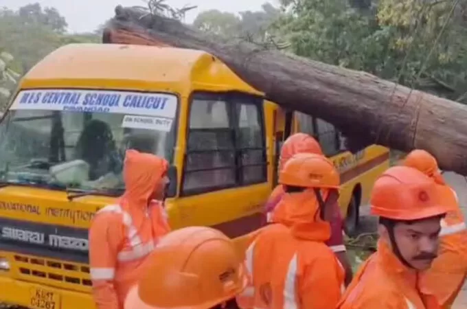 കോഴിക്കോട് ശക്തമായ കാറ്റില്‍ തേക്ക് മരം കടപുഴകി വീണ് അപകടം: സ്‌കൂള്‍ ബസ്സും സ്‌കൂട്ടറും തകര്‍ന്നു