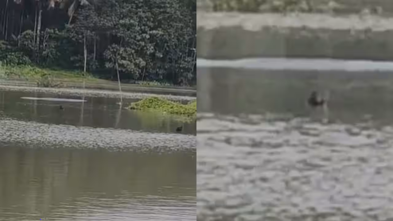വയനാട് പടിഞ്ഞാറത്തറ പുതുശ്ശേരി കടവിൽ തോണി മറിഞ്ഞ് ഒരു മരണം