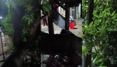 ശക്തമായ കാറ്റ്.. വീടുകൾക്ക് മുകളിലൂടെ മരം കടപുഴകി വീണു..