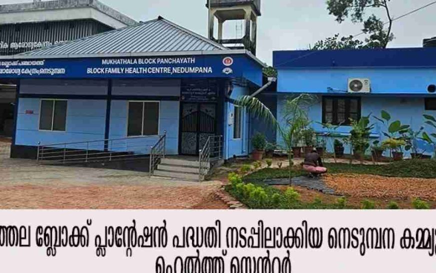 തണലിനൊപ്പം ആദായവും ആരോഗ്യപരിപാലനത്തിന് പ്രകൃതി സൗഹൃദ വഴികളിലേക്ക്..
