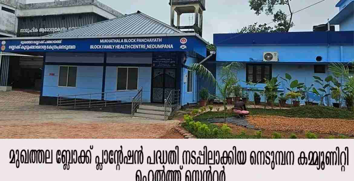 തണലിനൊപ്പം ആദായവും ആരോഗ്യപരിപാലനത്തിന് പ്രകൃതി സൗഹൃദ വഴികളിലേക്ക്..