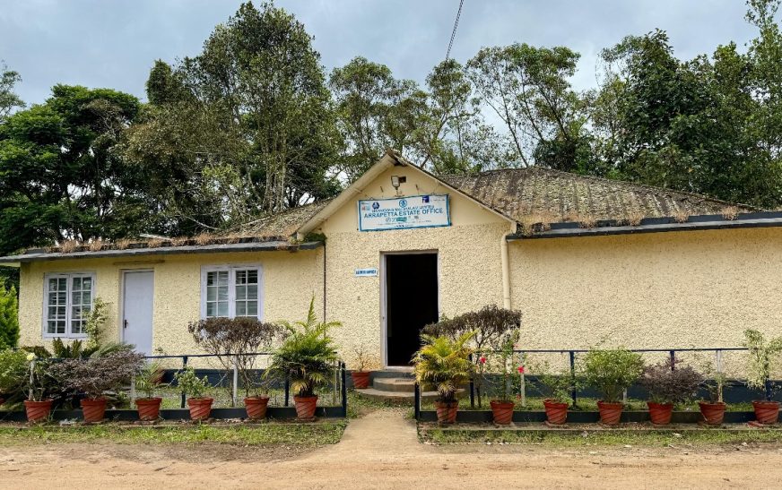 നോര്‍ത്ത് അമേരിക്കന്‍ ടീ കോമ്പറ്റീഷനില്‍ ഹാരിസണ്‍സ് മലയാളം ലിമിറ്റഡിന് സ്വര്‍ണ മെഡല്‍