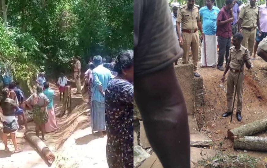 തൊഴിലുറപ്പിനിടെ തെങ്ങ് വീണ് മരിച്ച തൊഴിലാളികളുടെ കുടുംബത്തിന് 2 ലക്ഷം രൂപ വീതം ധനസഹായം നൽകും