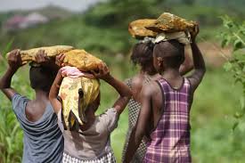 5713221b23eaa846c749cb4e4dbe557cade200ba0fc089fd793607fa92140943.0