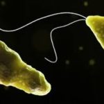 736fa02535c56520d0617d97118c85bf95af92a3ba691f7317e86a88aa47260d.0