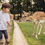 3a650a809be50417b1aa65f08af89bcb73cf65addc2c47b89cc700e4337c09f9.0