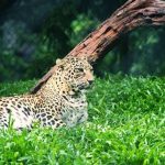 4e38cb942a2c941aa85da057907b8568c355a4cd23c9eae6b1ef69a0fdf6dbcb.0