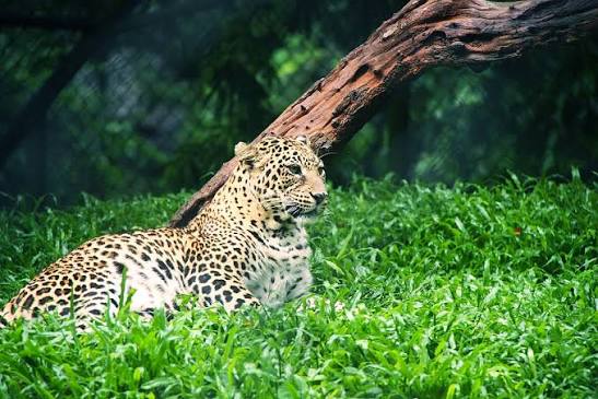 4e38cb942a2c941aa85da057907b8568c355a4cd23c9eae6b1ef69a0fdf6dbcb.0