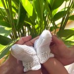 Screenshot_20251129_080749