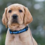 d9d13e34599f7b1299db5ebec64252fde8a34381db3e6b5f141ad0848cfd26e0.0