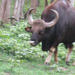 dfeff7dd5a8fd9db25c6337649bfbe3801cc14735d1a158fc54a335189c4b4f7.0