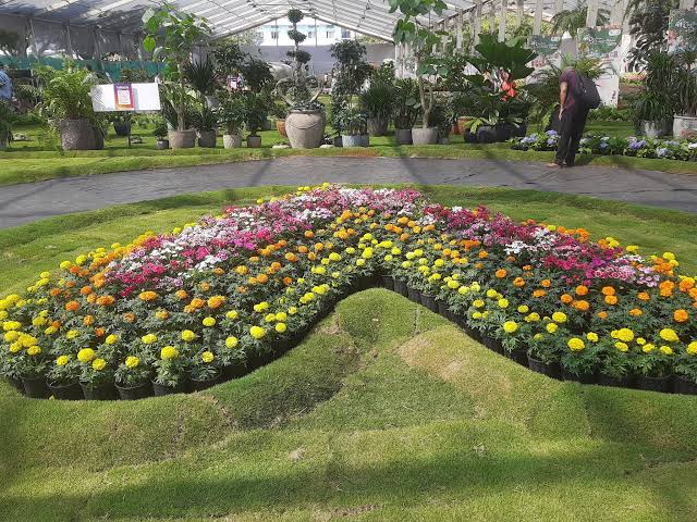 images - 2025-11-24T191701.660