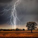 images - 2025-11-25T183959.966