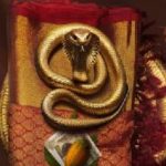 vHsD8sEKWweGGOluvx7xqEMhkq9QaKYTQc3AeGes