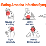 Brain-Eating-2-1 (1)