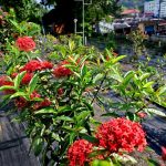 FB_IMG_1766242675489