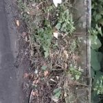 Screenshot_20251205_233347