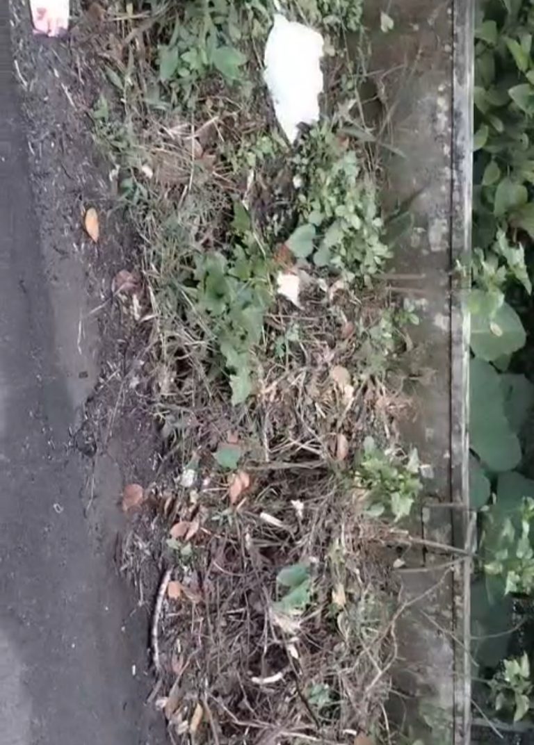 Screenshot_20251205_233347