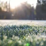 Untitled-1-66-680x450