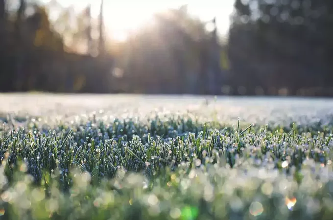 Untitled-1-66-680x450