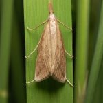 images - 2025-12-02T185522.504