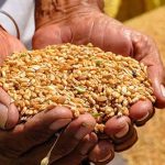 images - 2025-12-02T190215.810