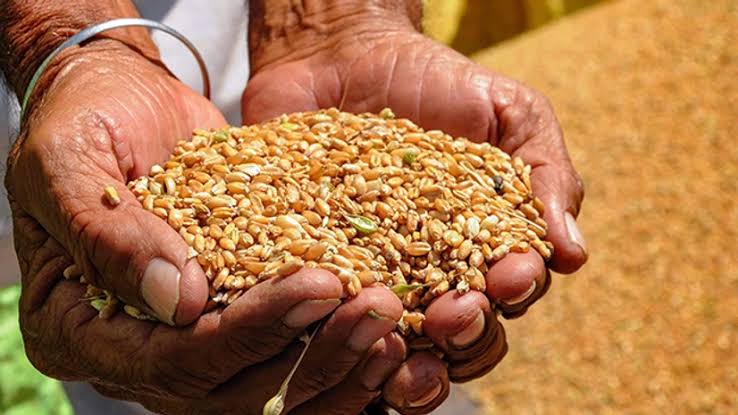 images - 2025-12-02T190215.810