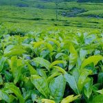 images - 2025-12-02T190641.086