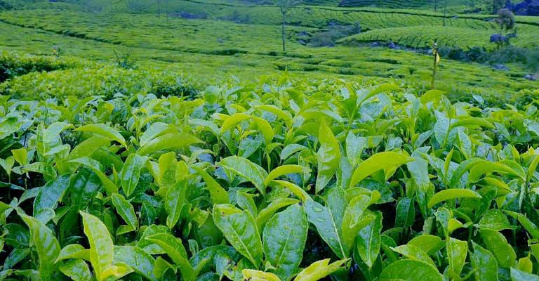 images - 2025-12-02T190641.086