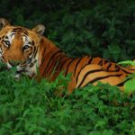 images - 2025-12-18T172822.300