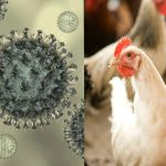 images - 2025-12-23T191848.449