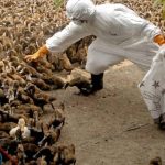 images - 2025-12-26T190817.049