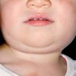 07c06421a8da24939fd1530964fba8db435242671cbae6689612434756e6bf5e.0