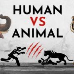 1200-675-20941615-975-20941615-1709967873646