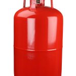 2Domestic_21kg-scaled-qjfz1cgqvzw2kyyb84gdjbbr8fiquo3thi11i6byxk