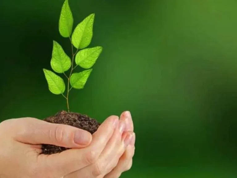 3G17pgMvc0PAhtxYB2Gz