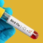 IO09FlN3RTeIw7iAUDHv6kB7QPOek2IDr2tACNPC