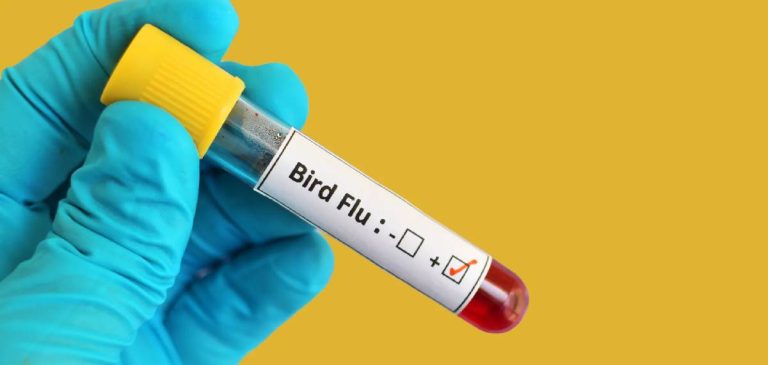 IO09FlN3RTeIw7iAUDHv6kB7QPOek2IDr2tACNPC