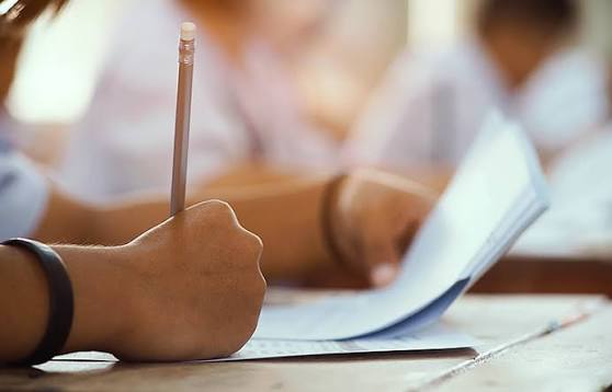 images - 2026-02-19T185042.710