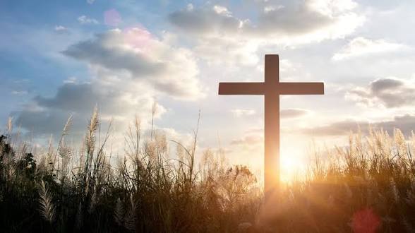 8e411ea17701a7cf14a0d61b7519c46b6ee30cbb4ae6836bf29ce5e32c599a94.0